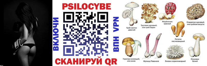 hydra вход  Людиново  Псилоцибиновые грибы Psilocybine cubensis 